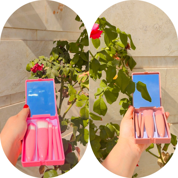 ست براش پنج عددی جعبه دار